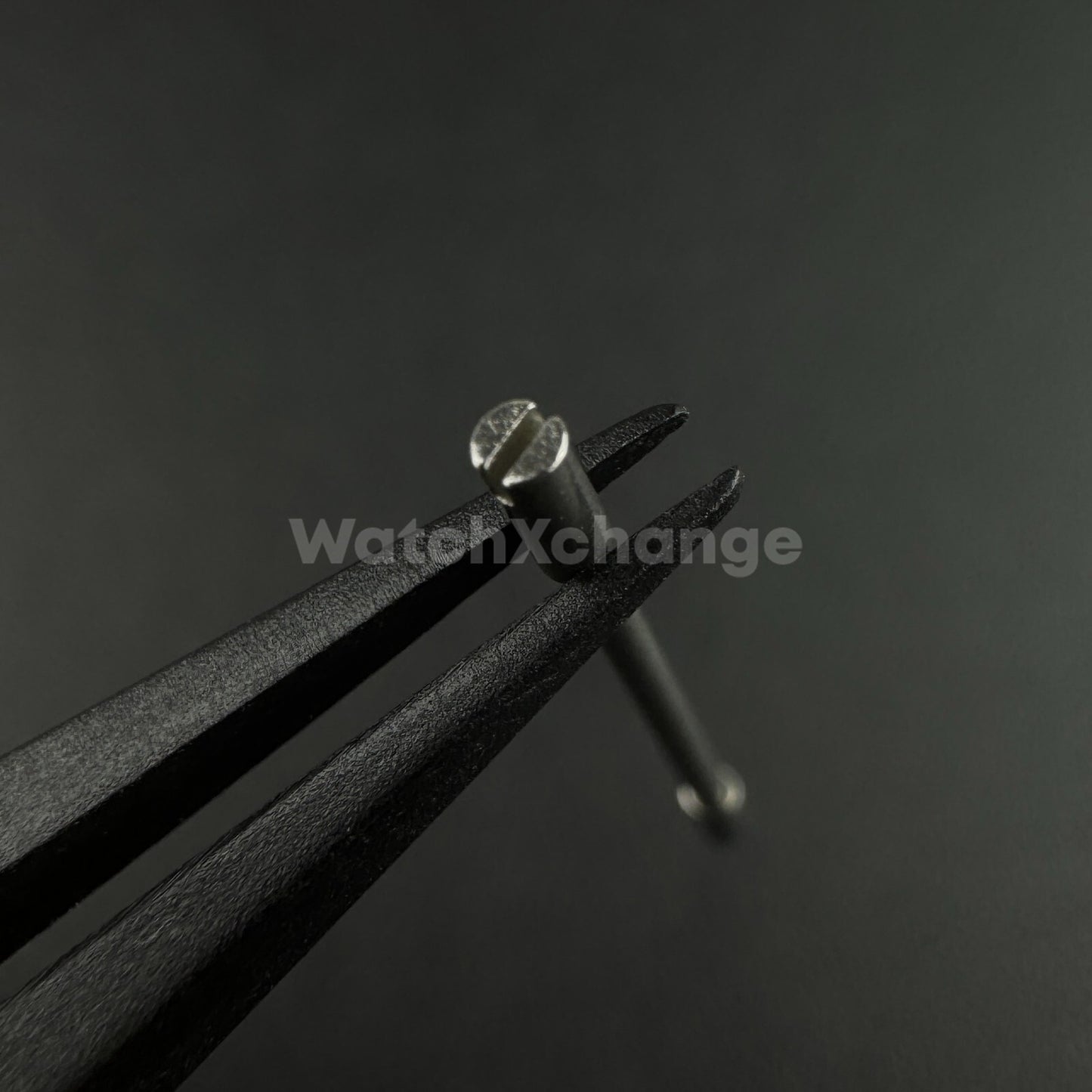 Watch Screw Tube Bar for AP Audemars Piguet Royal Oak Strap Band Link 26.5/28mm