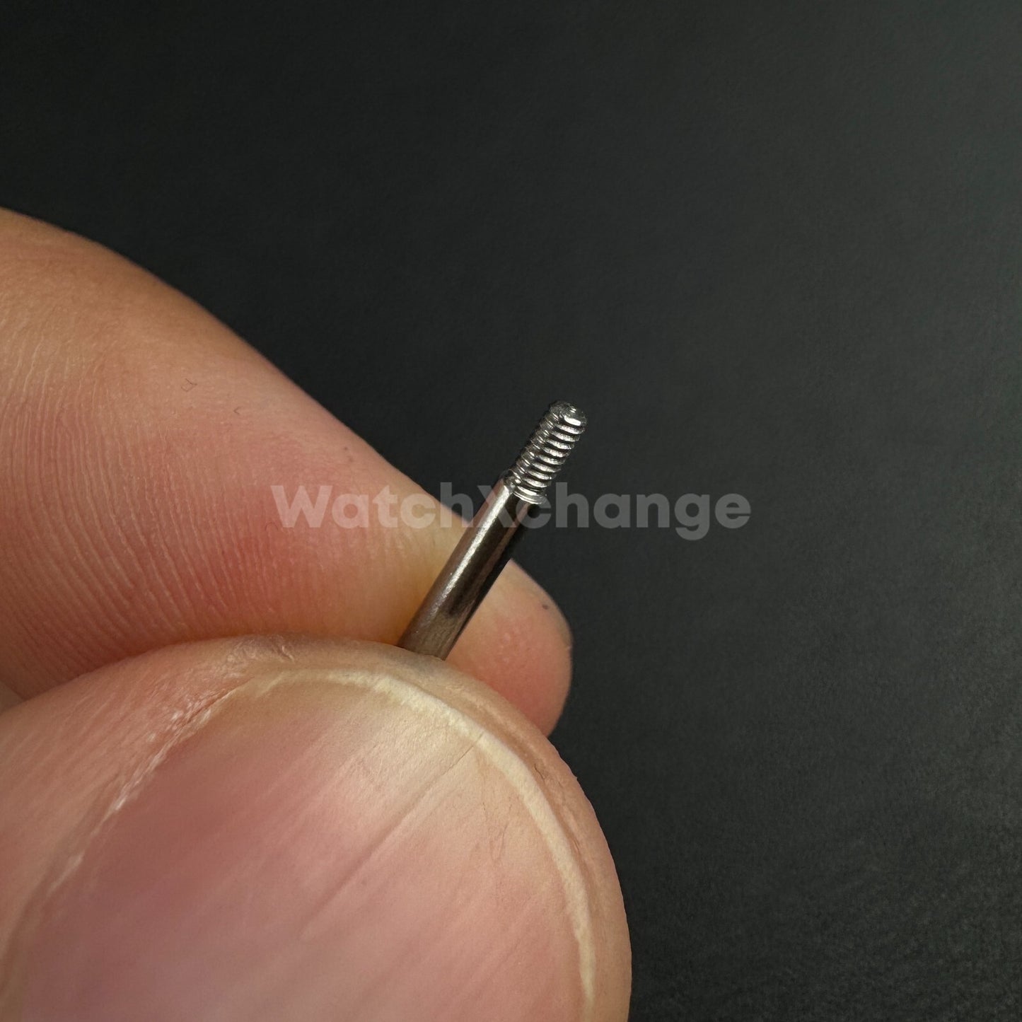 2 x Stainless Steel Watch Strap screws Lug Pins For Panerai - 5 Various Length