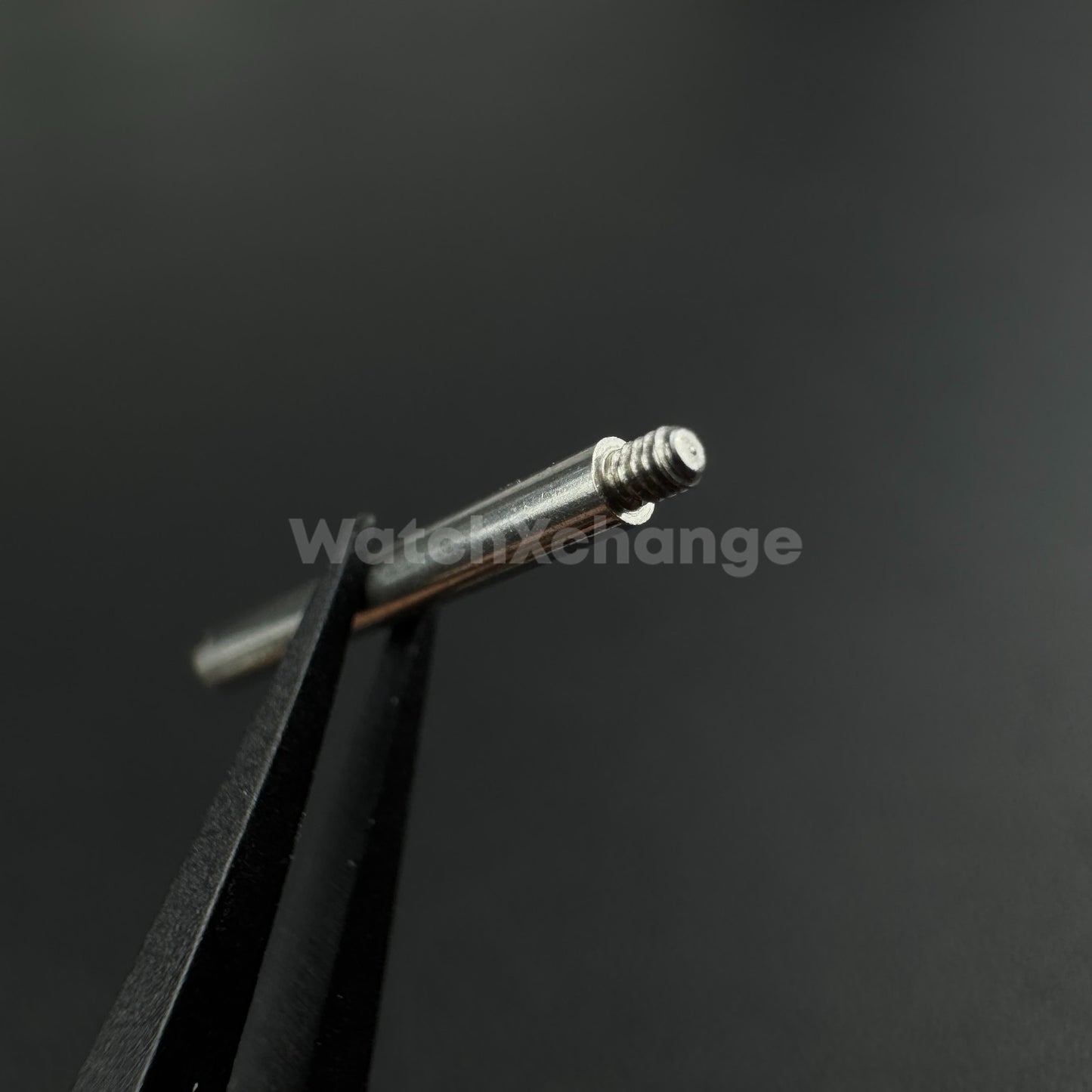 316L Stainless Steel Screw Pins for Rolex Bracelets Straps Bands Links Repair