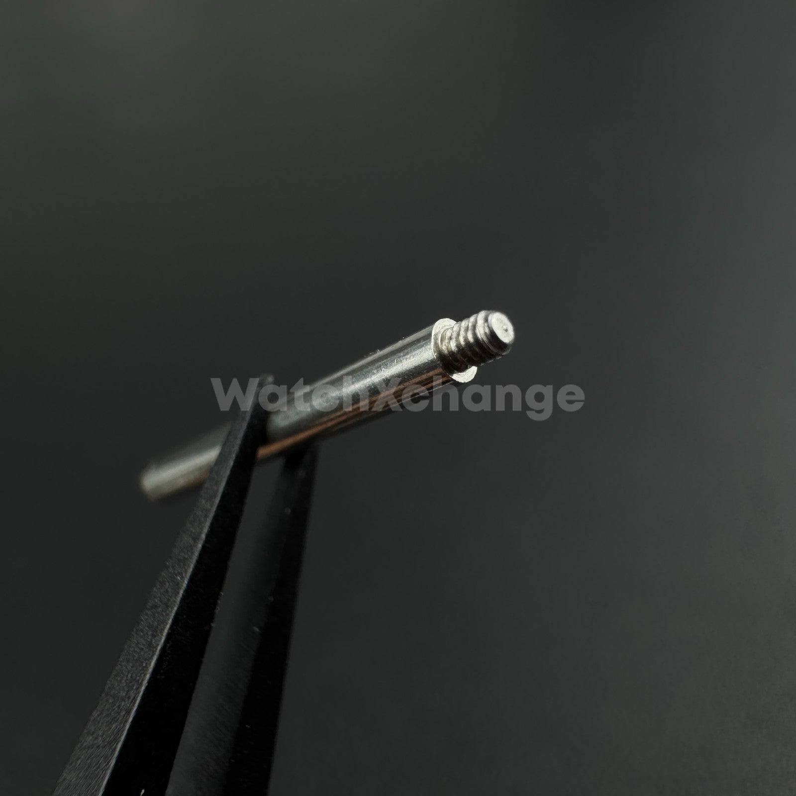 316L Stainless Steel Screw Pins for Rolex Bracelets Straps Bands Links Repair
