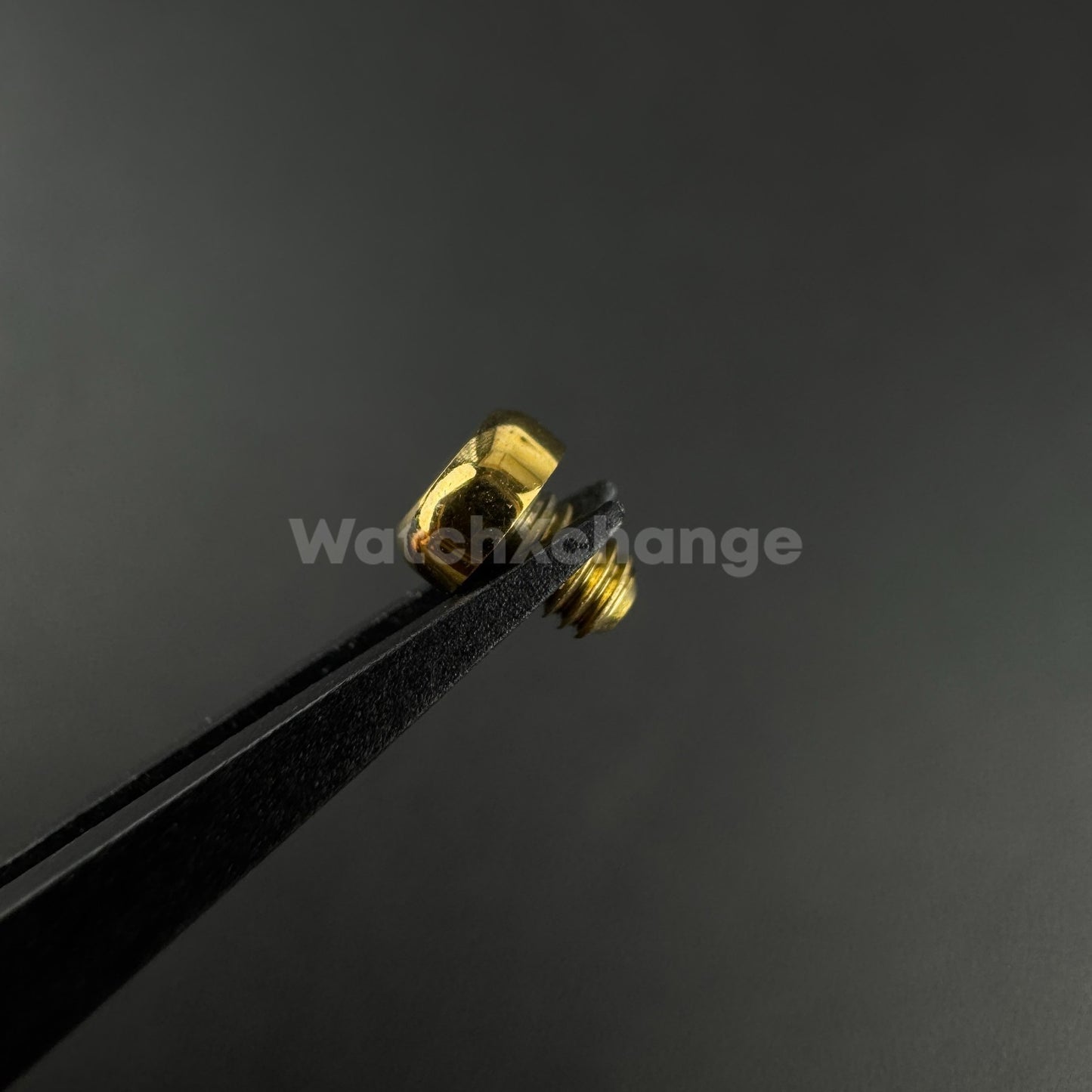 Gold 3pcs Watch Case Screw for Seiko SNE497 498 499 518 533 535 537 Tuna Diver