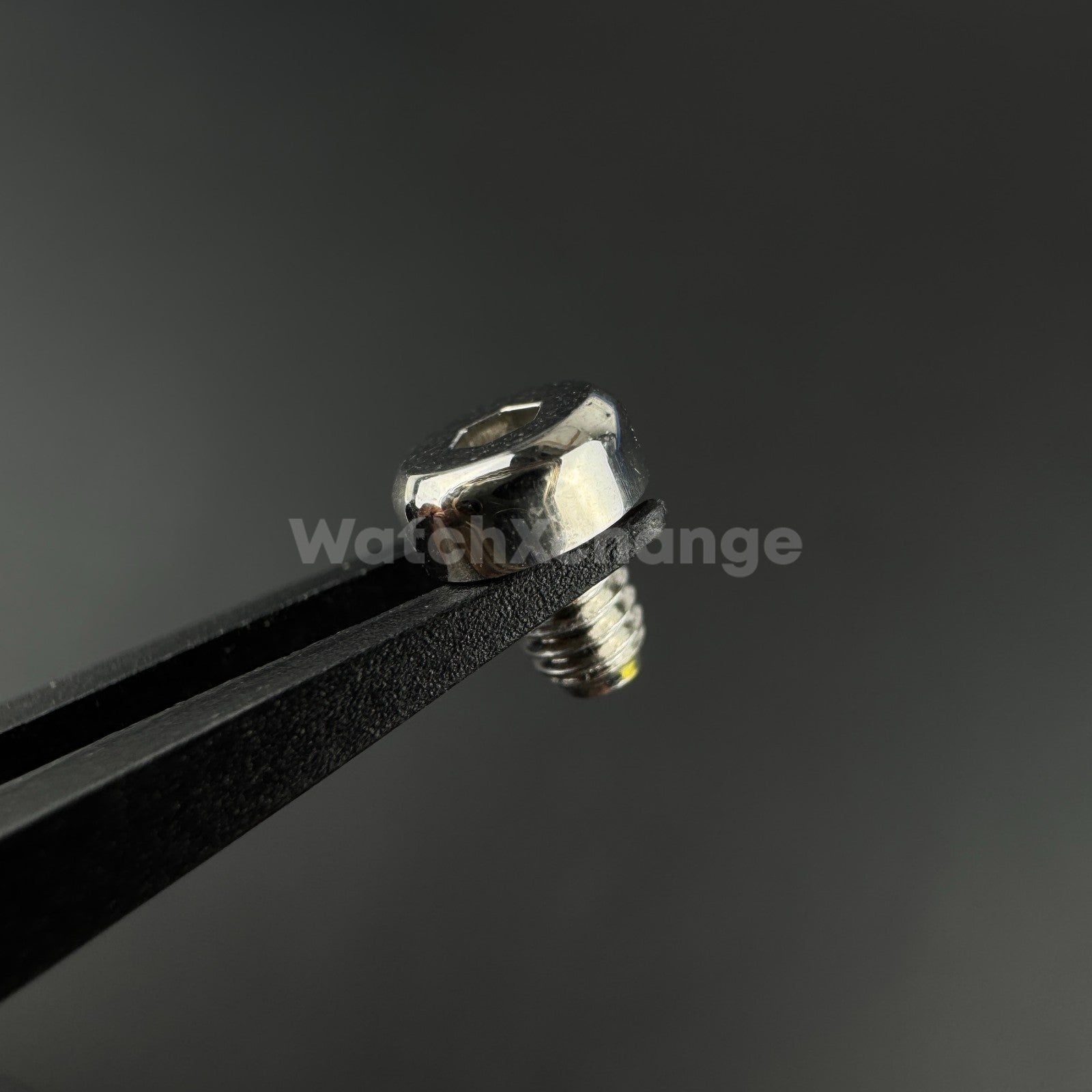 Silver 3pcs Watch Case Screw for Seiko SNE497 498 499 518 533 535 537 Tuna Diver